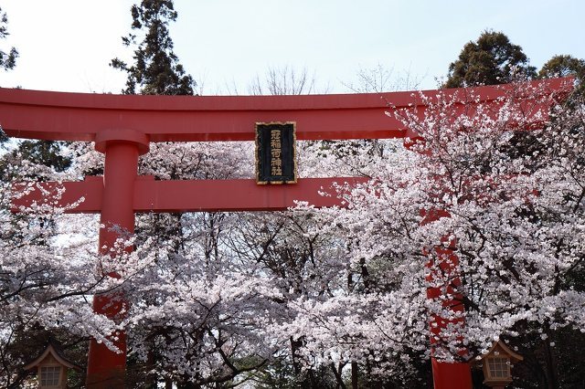 日本七社 冠稲荷神社の写真