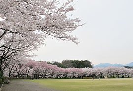 箕郷ふれあい公園の写真