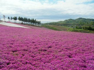 運動 北部 太田 公園 市