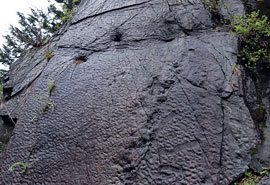 恐竜の足跡(瀬林の漣跡)の写真