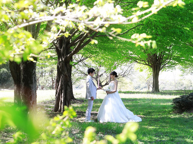 Wish Wedding ブライダル 前橋市 ぐんラボ