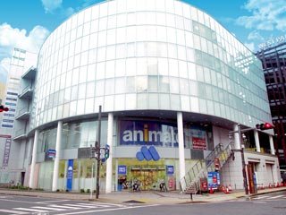 アニメイト高崎 Cd Dvd 本 高崎市 ぐんラボ