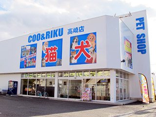 ペットショップ COO&RIKU 高崎店の写真