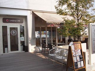 Ladybug cafeの写真
