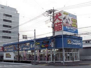 ペットショップ COO&RIKU 前橋店の写真