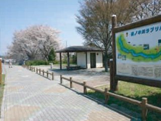 桃の木川サイクリングロードの写真