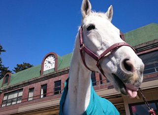 群馬県のアウトドア 公園のお店 スポット ぐんラボ 群馬県のアウトドア 公園のお店 スポット ぐんラボ