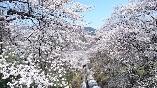 箱島発電所の写真