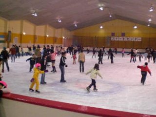 桐生スケートセンター スポーツ施設 プール 桐生市 ぐんラボ 桐生スケートセンター スポーツ施設 プール 桐生市 ぐんラボ