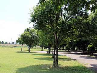 ラブリバー親水公園うぬき ／アウトドア／公園 / 伊勢崎市 ／群馬／BBQ ／バーベキューレンタル／多目的広場