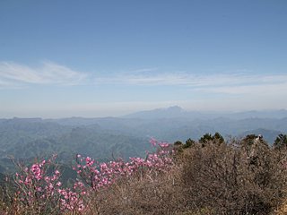 稲含山の写真