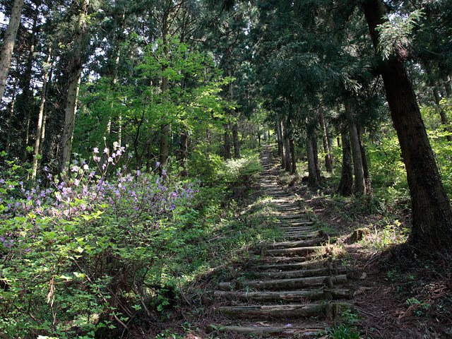 二千階段の写真