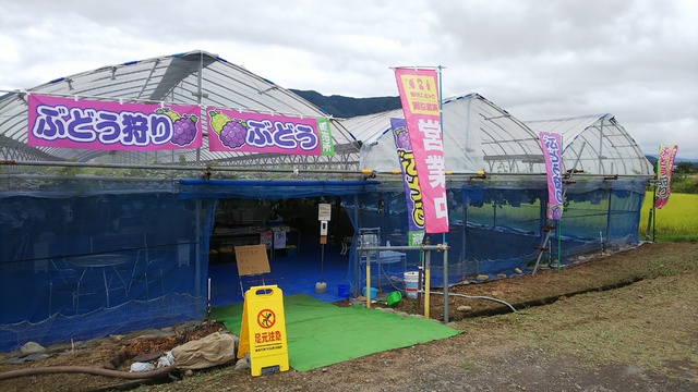 月夜野まるかチェリー園 その他施設 利根郡みなかみ町 ぐんラボ