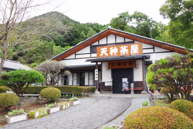 そば処 天神茶屋の写真