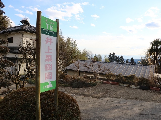 フルーツパーク子持 井上果樹園 名所 観光地 渋川市 ぐんラボ