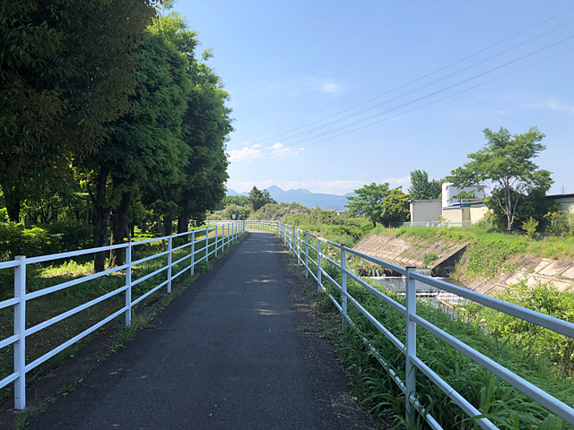 井野川サイクリングロードの写真