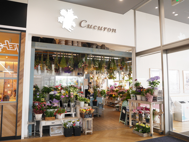 Cucuron - 花・ガーデニング / 伊勢崎市 - ぐんラボ！