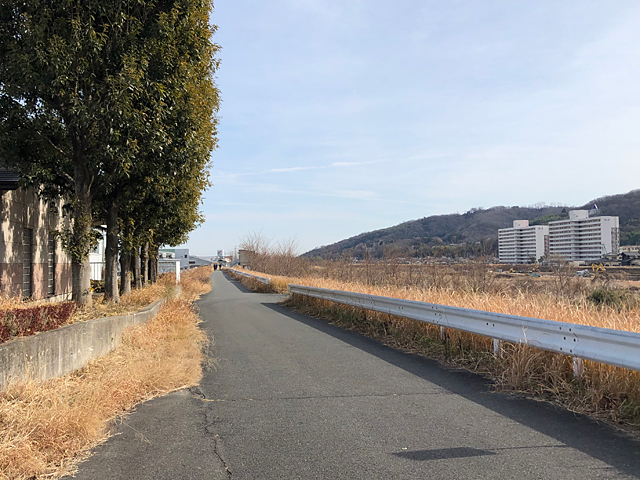 碓氷川・九十九川サイクリングロードの写真