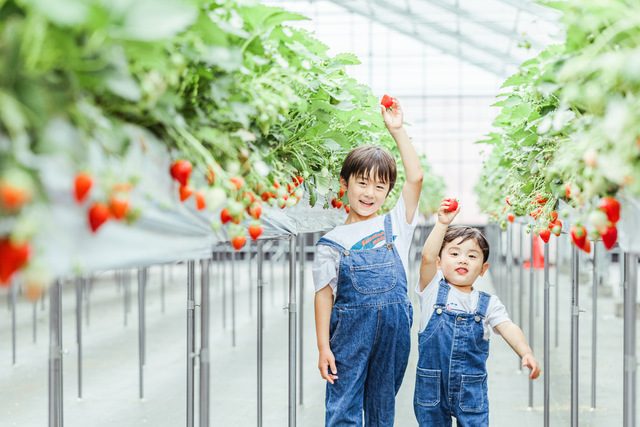 【2023年12月22日オープン】いちご屋 壽(ことぶき)の写真