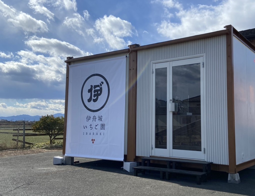 【2026年1月オープン】伊舟城（いばらき）いちご園の写真