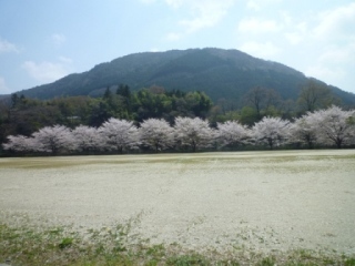 黒保根運動公園の写真