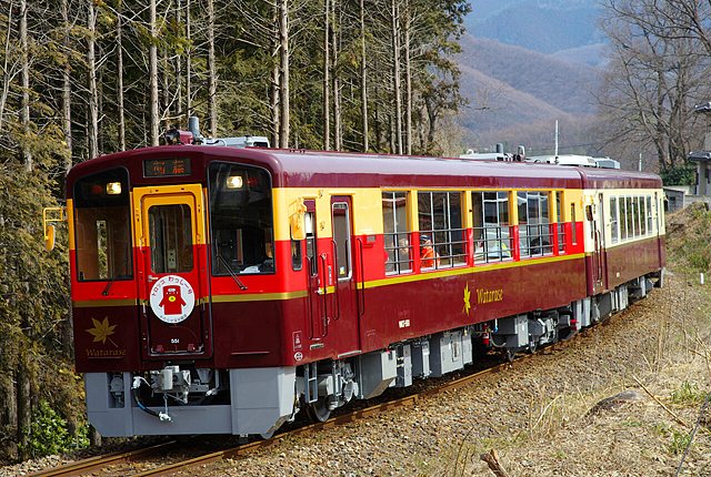 わたらせ渓谷鐵道～トロッコわっしー号で行く～京風ゆば料理列車