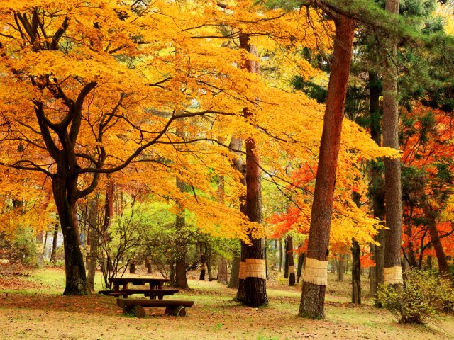 赤城 自然 園