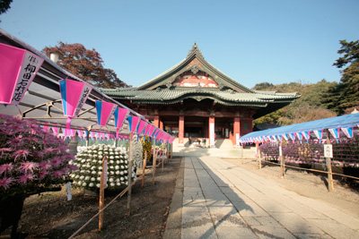 第61回 関東菊花大会 植物 街 地域 太田市 イベント情報 ぐんラボ