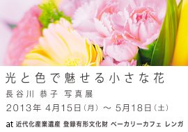 Color Little Flowers ベーカリーカフェ レンガ 光と色で魅せる小さな花 写真家 長谷川恭子 写真展 アート カルチャー 街 地域 桐生市 イベント情報 ぐんラボ