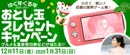 プレゼント画像
