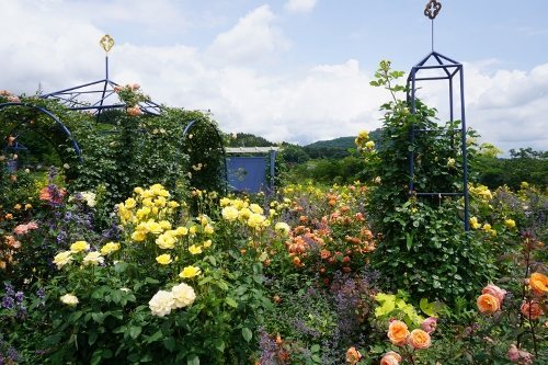 ヤッピーさんの中之条ガーデンズ 旧 花の駅 美野原 ぐんまgotoeat加盟店 へのクチコミ ぐんラボ ヤッピーさんの中之条ガーデンズ 旧 花の駅 美野原 ぐんまgotoeat加盟店 へのクチコミ ぐんラボ