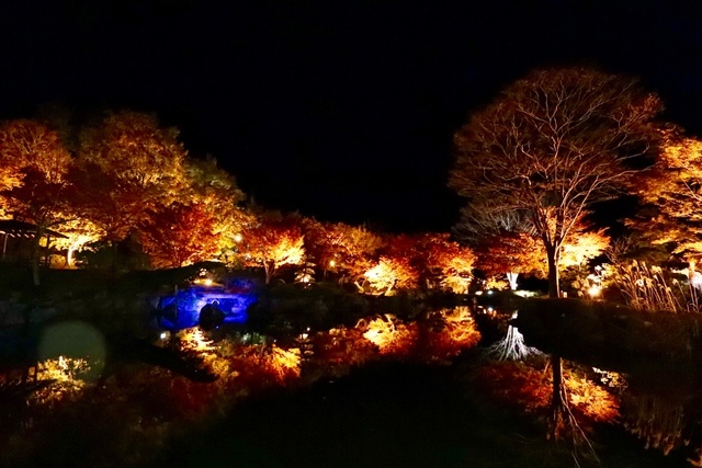 ハンニバルさんの桜山公園へのクチコミ ぐんラボ