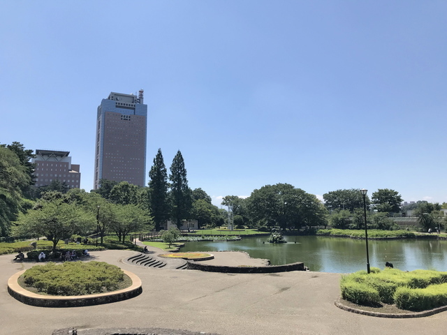 Pooh 5mtさんの楽歩堂前橋公園 前橋公園 へのクチコミ ぐんラボ