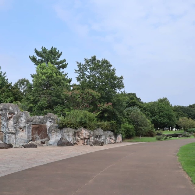 伊勢崎市いせさき市民のもり公園 アウトドア 公園 伊勢崎市 ぐんラボ 伊勢崎市いせさき市民のもり公園 アウトドア 公園 伊勢崎市 ぐんラボ