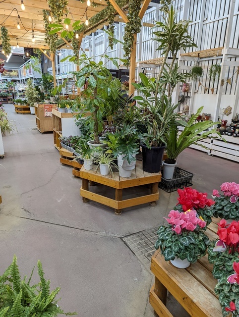 スーパービバホーム 高崎店 ホームセンター 高崎市 ぐんラボ