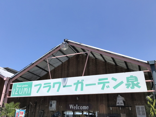 フラワーガーデン泉 花 ガーデニング 前橋市 ぐんラボ
