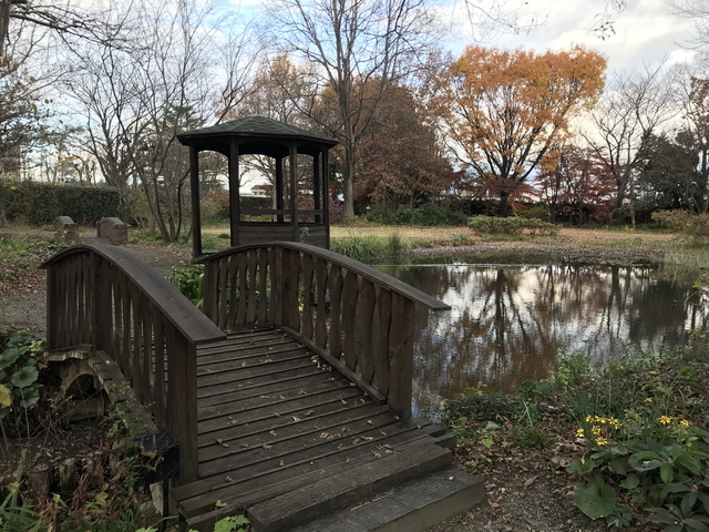 エアリスの小さな森公園（旧アンディ＆ウィリアムス ボタニック