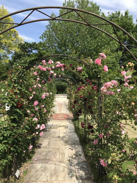 エアリスの小さな森公園（旧アンディ＆ウィリアムス ボタニック
