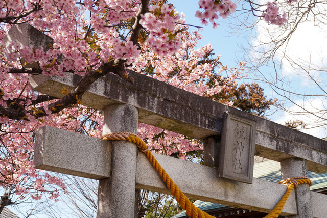 江田鏡神社の写真
