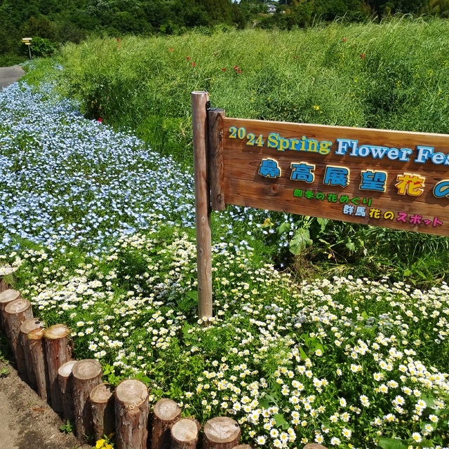 鼻高展望花の丘の写真