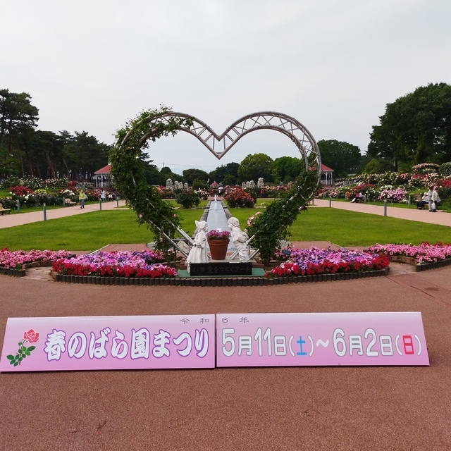 敷島公園門倉テクノばら園（敷島公園ばら園）の写真