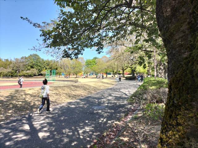 もみじ平総合公園(富岡北部運動公園)の写真