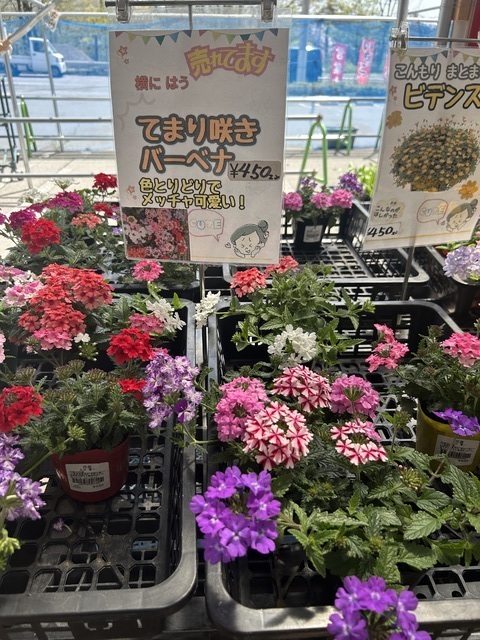 JA利根沼田農産物直売所「食彩の森」の写真