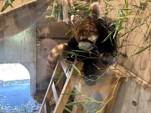 未来へはばたけ 山田製作所桐生が岡動物園の写真
