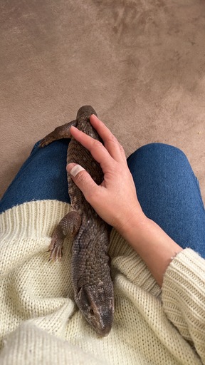 ライトかあさん