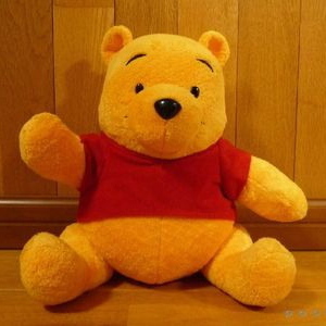 Pooh_5MT