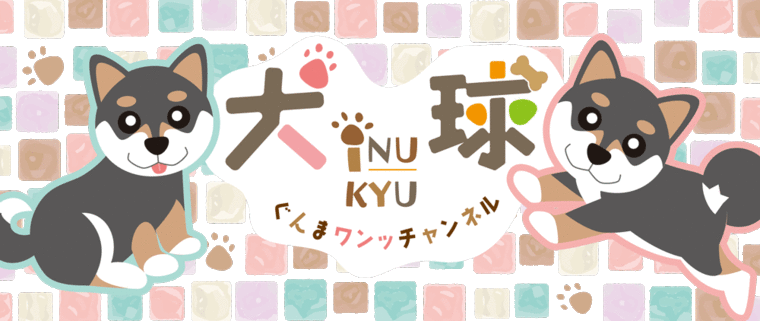 犬球　☆バックナンバー☆