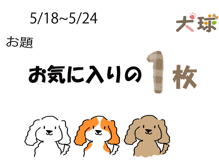 ぐんまワンッチャンネル 犬球 Inukyu 5月 ぐんラボ