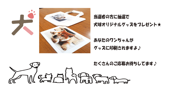 7月 犬球 ぐんラボ