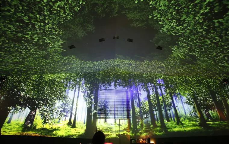壁と天井の360°に投影された幻想的な映像に気分が落ち着きます。